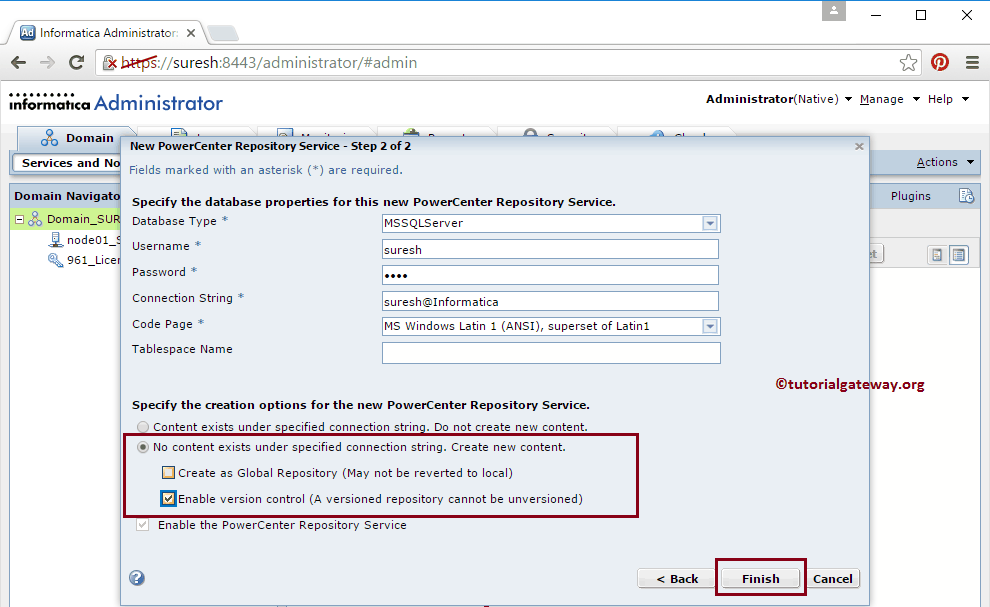 Informatica Repository Service 2